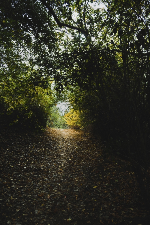 sendero de mi barrio