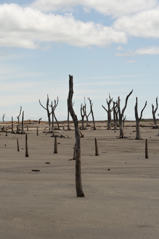 Miramar de Ansenuza - Laguna de Mar Chiquita